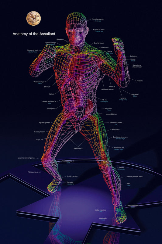 Anatomy Poster